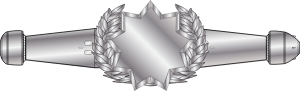 Award_RMN_Space_Warfare_Qual_Enlisted