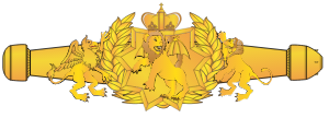 Award_RMN_Space_Warfare_Qual_Officer