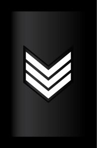 Command